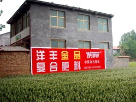 水富如何让墙体广告展现最大化效果